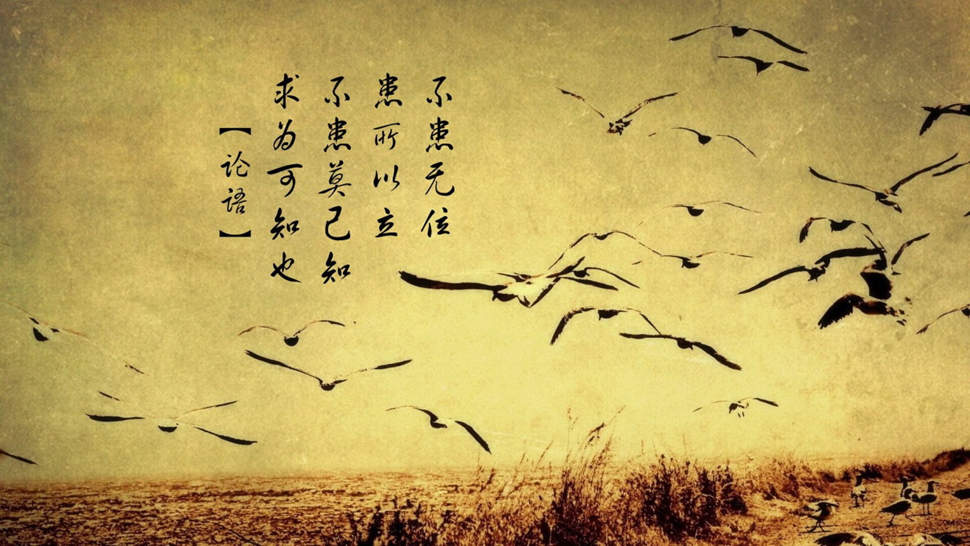 开yun体育-_勇士队三分狂潮再现，主场大胜_，勇士队 三分