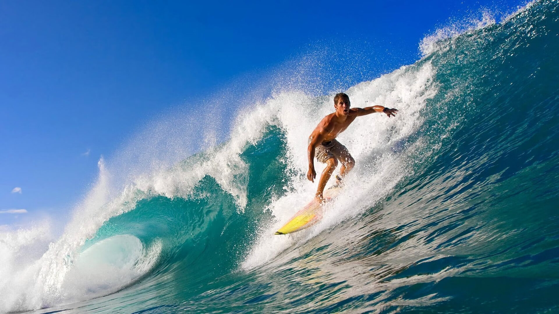 开云·体育官网-摩纳哥仰泳选手技术细腻，摩纳哥王妃游泳